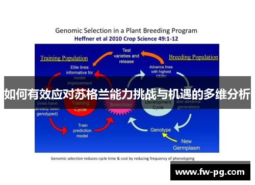 如何有效应对苏格兰能力挑战与机遇的多维分析